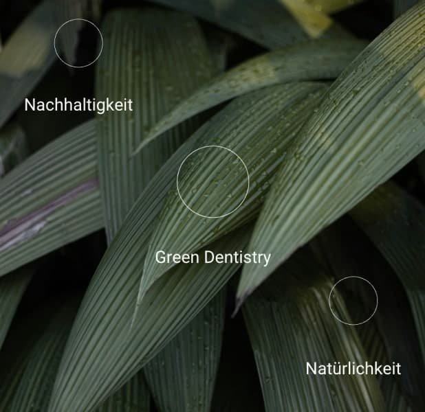Green dentistry